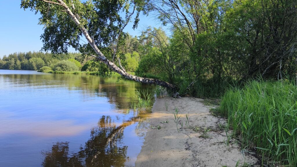 Kam vyrazit na přírodní koupání? Zatopené lomy a nejkrásnější jezera na Vysočině 3 velke darko